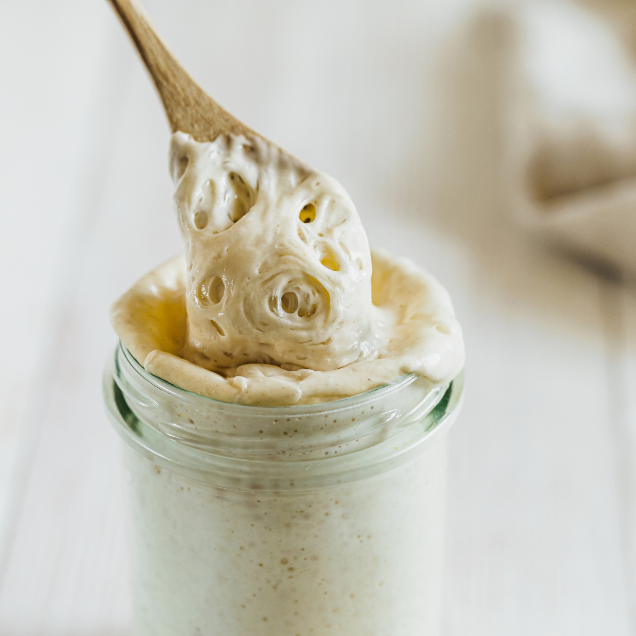Dehydrated Sourdough Starter